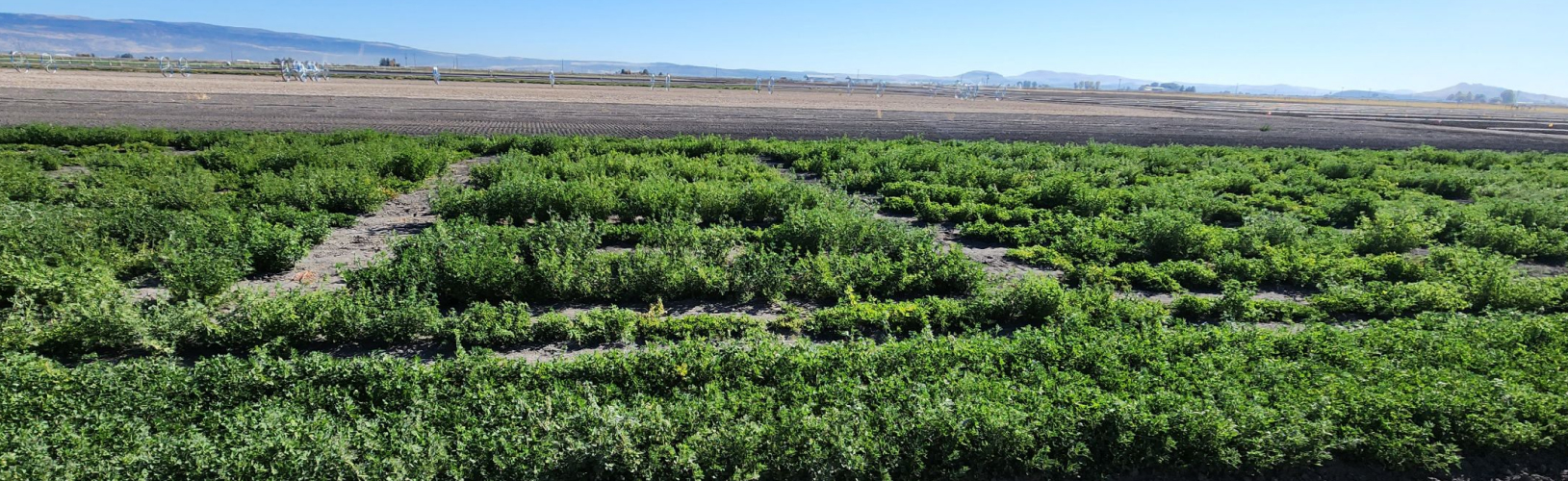 UC Agriculture and Natural Resources 
Capital Program