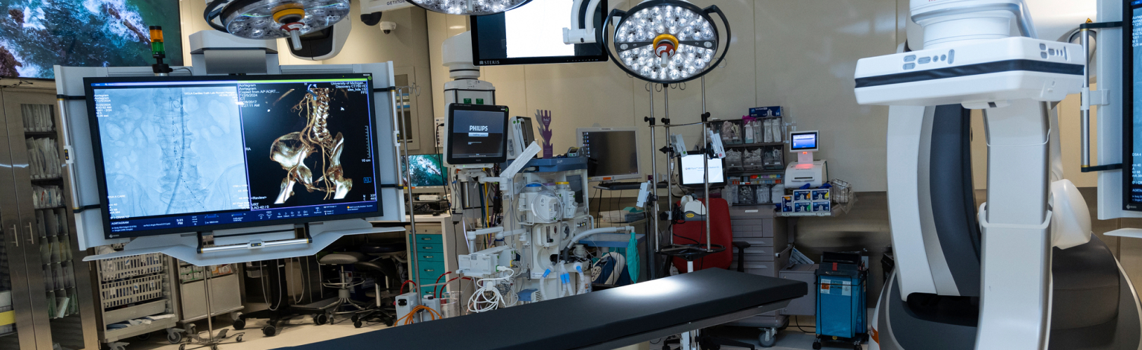 UC Los Angeles Health Capital Program